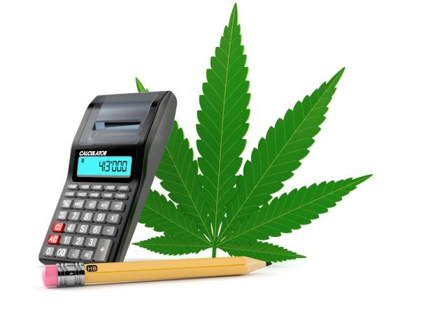 Discover the Secret to Financial Success in the Cannabis Industry with CPA Guidance