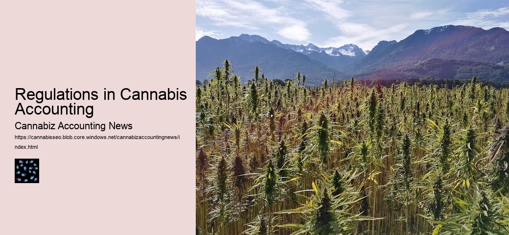 Regulations in Cannabis Accounting