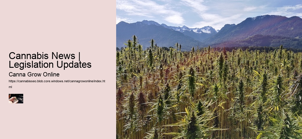 Cannabis News | Legislation Updates