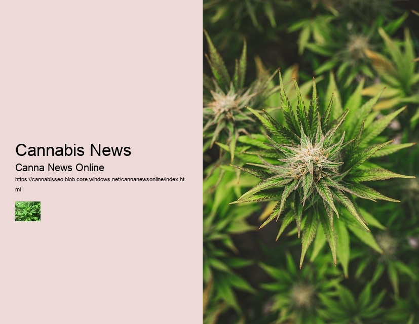 Cannabis News