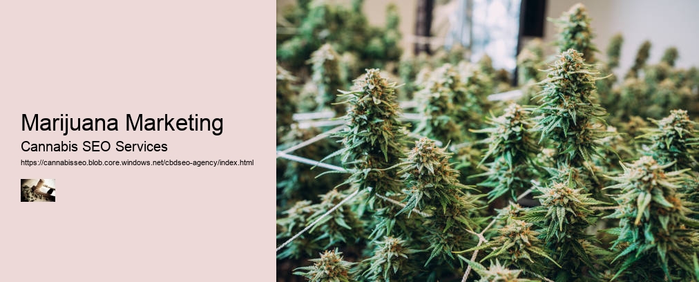 Marijuana Marketing