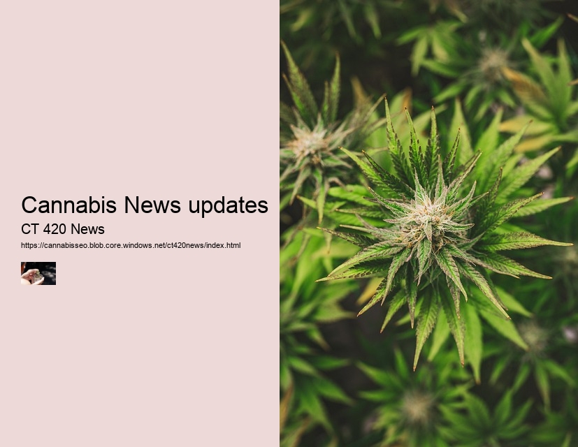 Cannabis News updates
