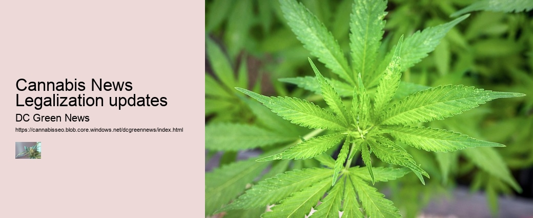 Cannabis News Legalization updates