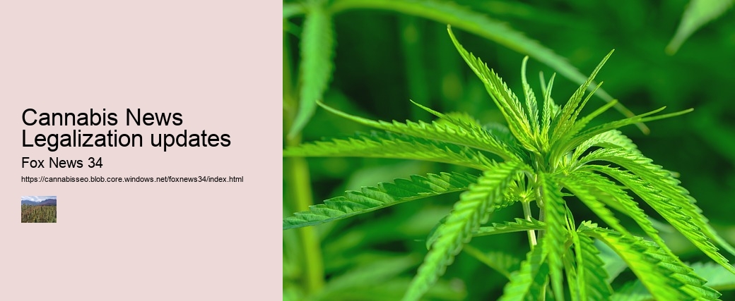 Cannabis News Legalization updates