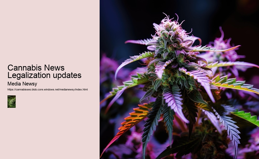 Cannabis News Legalization updates