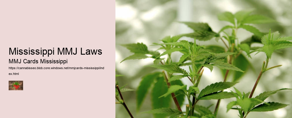 Mississippi MMJ Laws