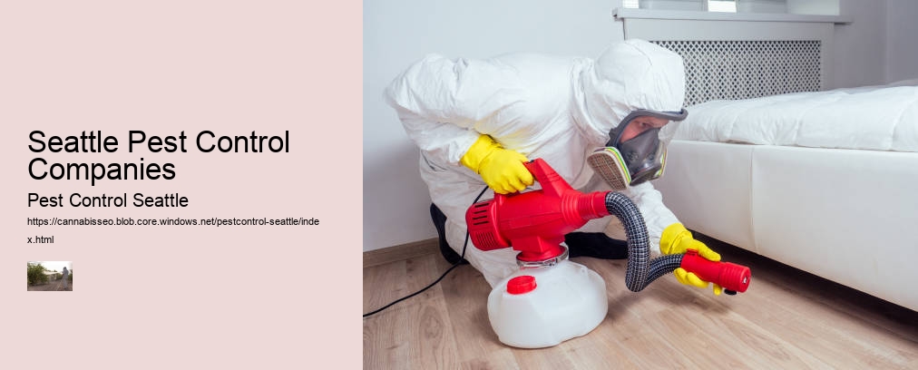 Seattle Pest Control Companies