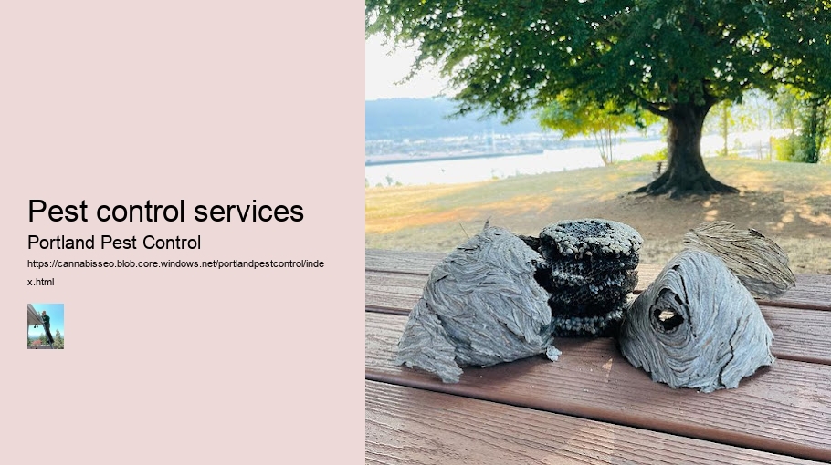 Pest control services