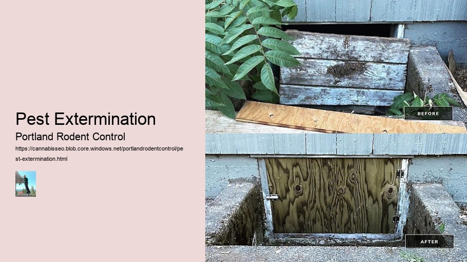 Pest Extermination