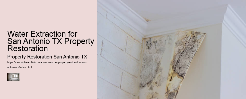 Water Extraction for San Antonio TX Property Restoration