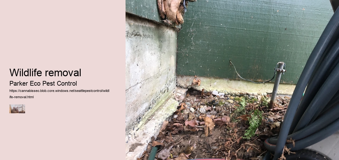 Wildlife removal