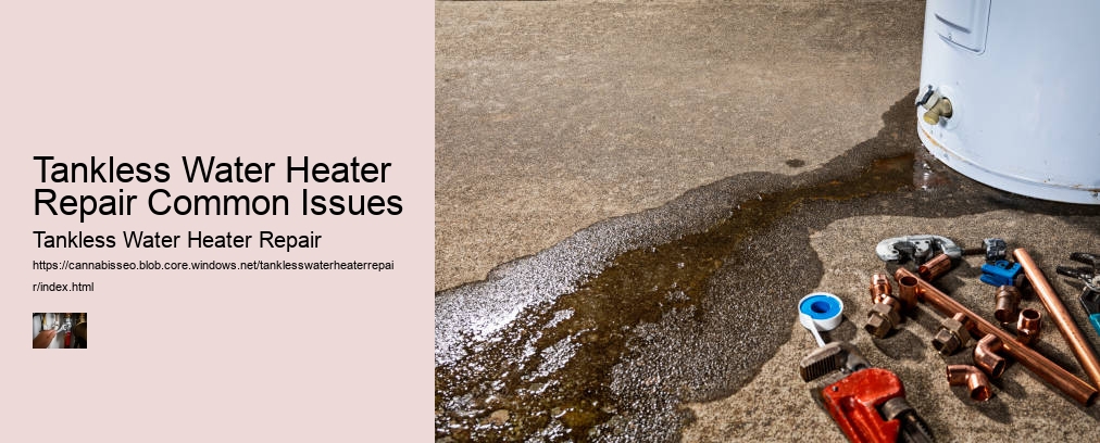 Tankless Water Heater Repair Common Issues
